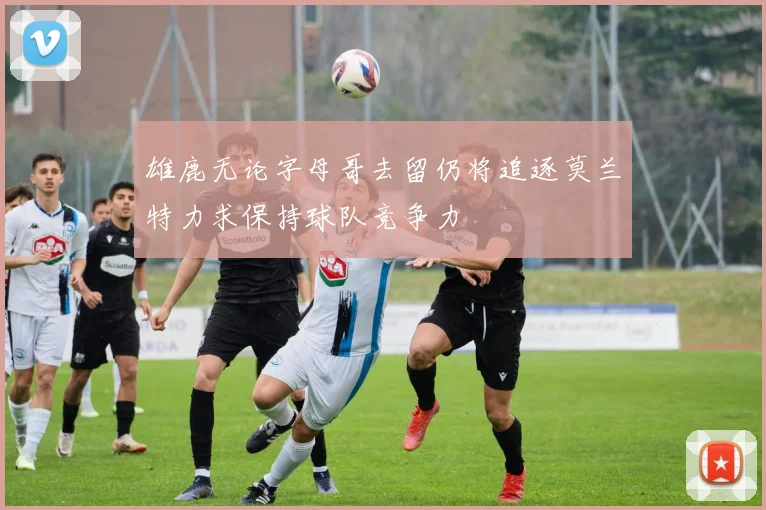雄鹿无论字母哥去留仍将追逐莫兰特力求保持球队竞争力